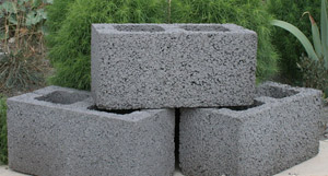 легкие бе.jpg